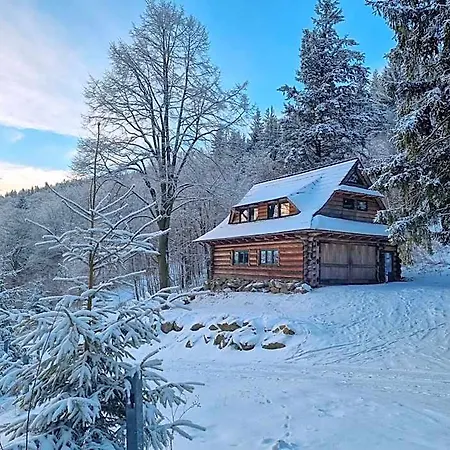 Gorski Przy Bukowej Chacie